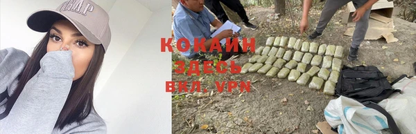 круглые Аркадак