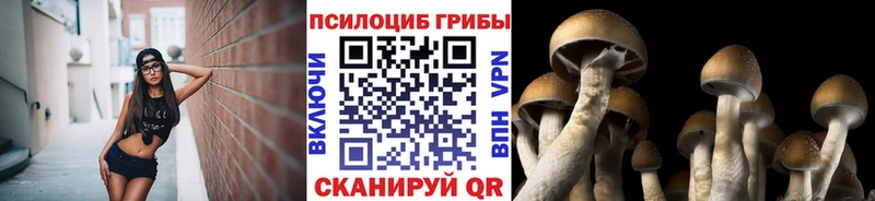 Галлюциногенные грибы мухоморы  Семилуки 